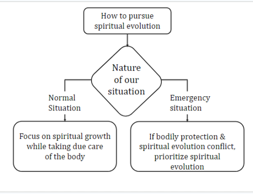 What the indestructibility of the soul implies — and what it doesn’t imply